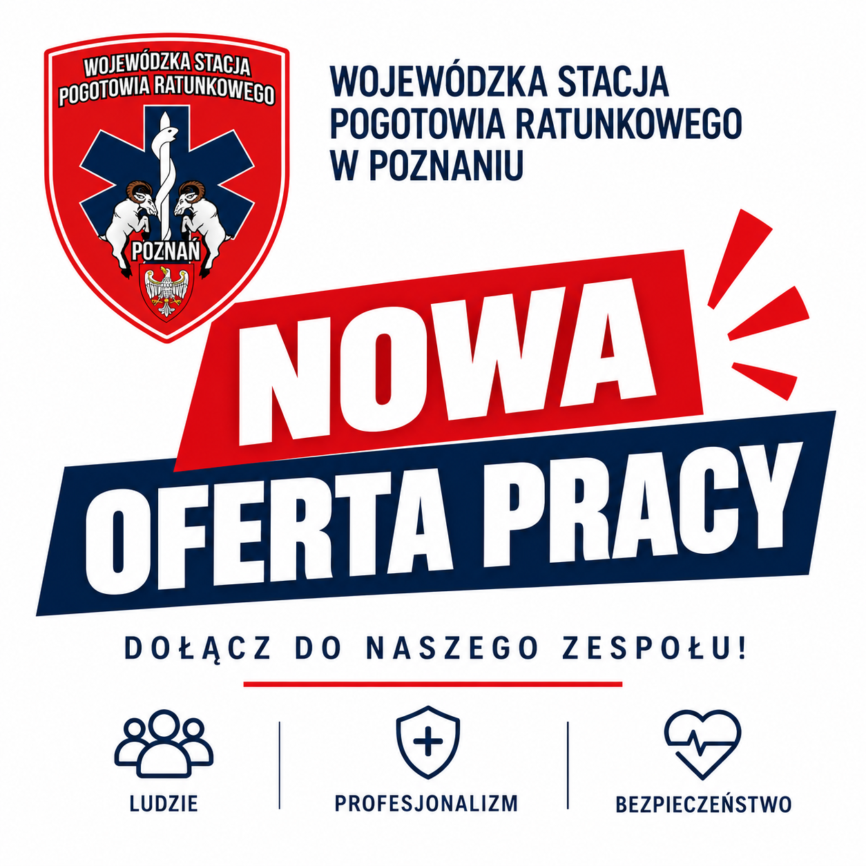 Grafika Nowa oferta pracy